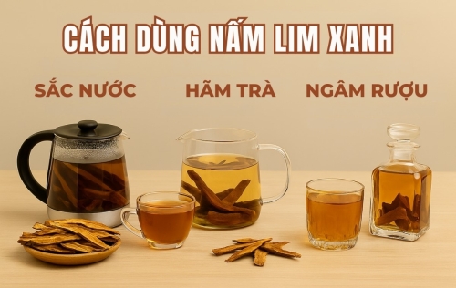 Hướng dẫn sử dụng nấm Lim Xanh đúng cách để đạt hiệu quả cao nhất